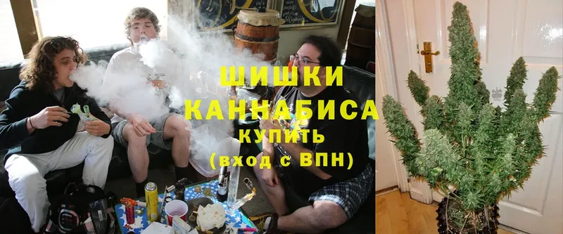 Каннабис SATIVA & INDICA  OMG ССЫЛКА  Заводоуковск 